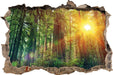 Wald bei Sonnenlicht 3D Wandtattoo Wanddurchbruch
