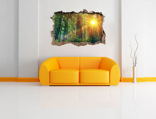 Wald bei Sonnenlicht 3D Wandtattoo Wanddurchbruch Wand