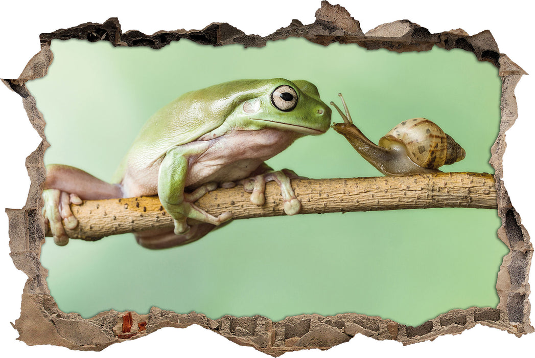 Pixxprint der Frosch und die Schnecke, 3D Wandtattoo