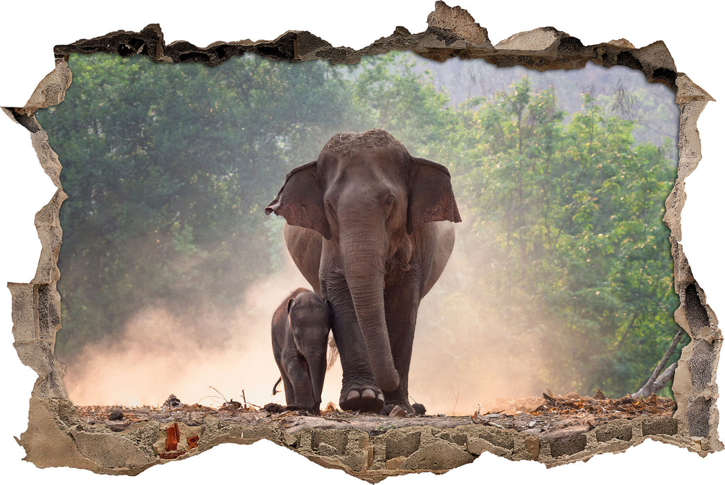 Pixxprint Elefantenbaby mit Mutter, 3D Wandtattoo