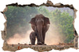 Elefantenbaby mit Mutter 3D Wandtattoo Wanddurchbruch