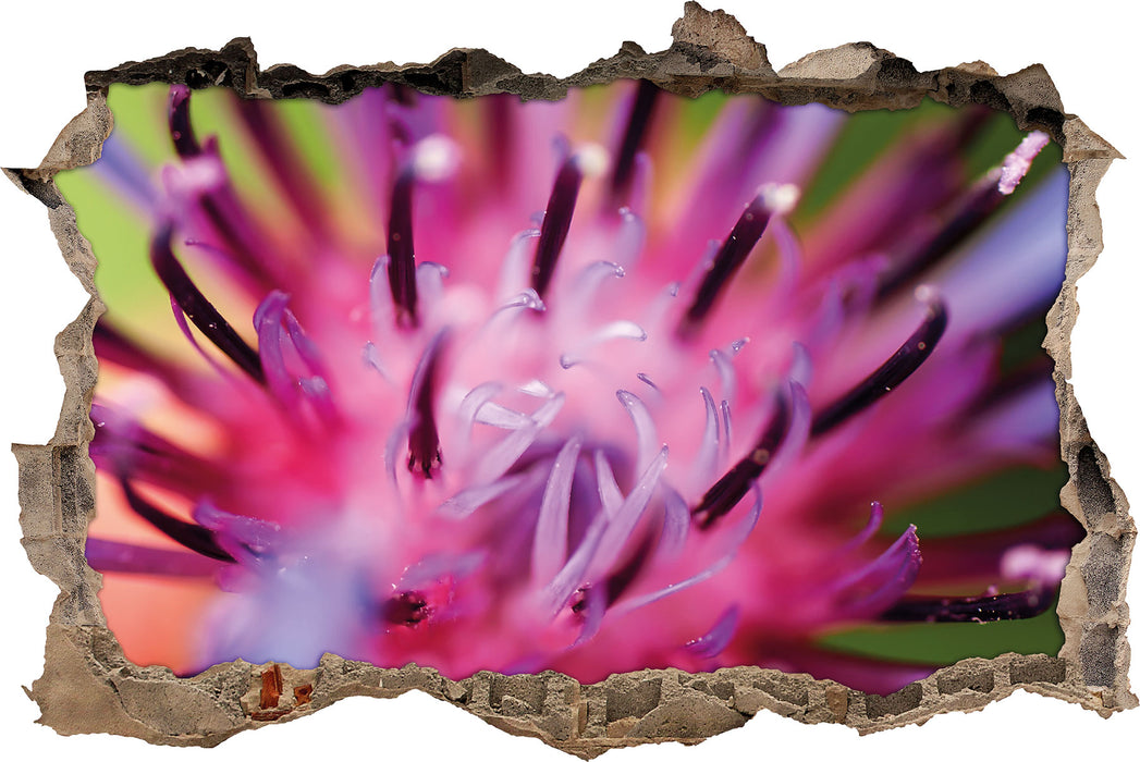 Pixxprint wunderschöne lila Blume im Fokus, 3D Wandtattoo