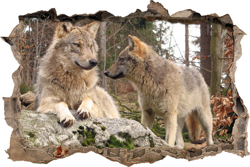 Wölfe im Wald 3D Wandtattoo Wanddurchbruch