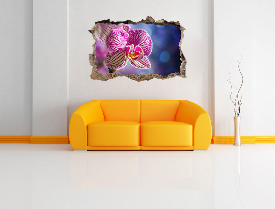 farbenOrchidee in der Nahaufnahme 3D Wandtattoo Wanddurchbruch Wand