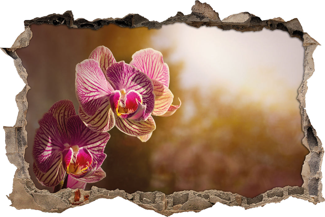 Pixxprint farbenOrchideen in der Nahaufnahme, 3D Wandtattoo