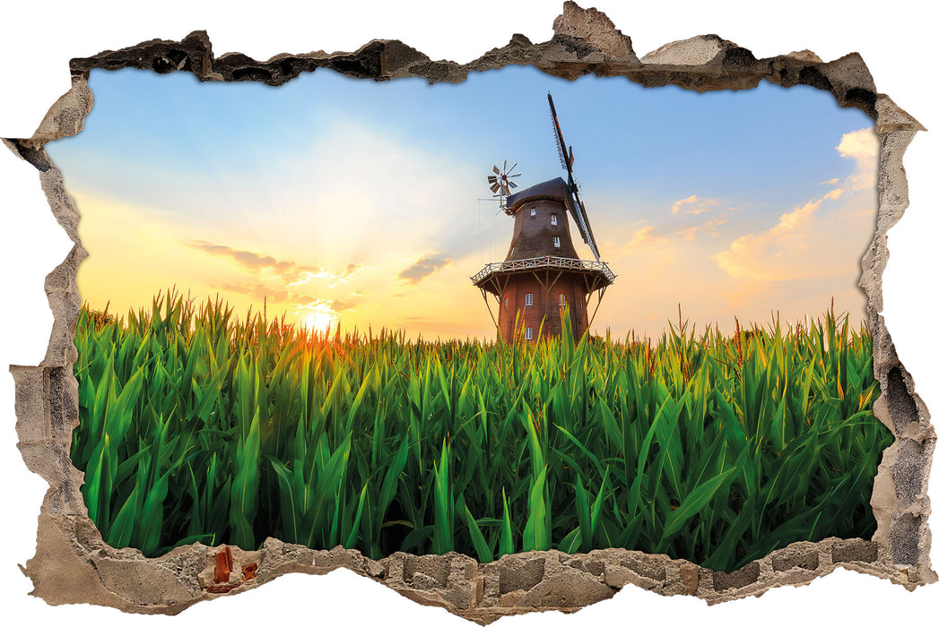 Pixxprint schöne Windmühle auf dem Feld, 3D Wandtattoo