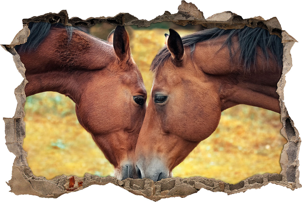 Pixxprint zwei schmusende Pferde, 3D Wandtattoo