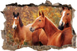 schöne Pferde auf der Wiese  3D Wandtattoo Wanddurchbruch