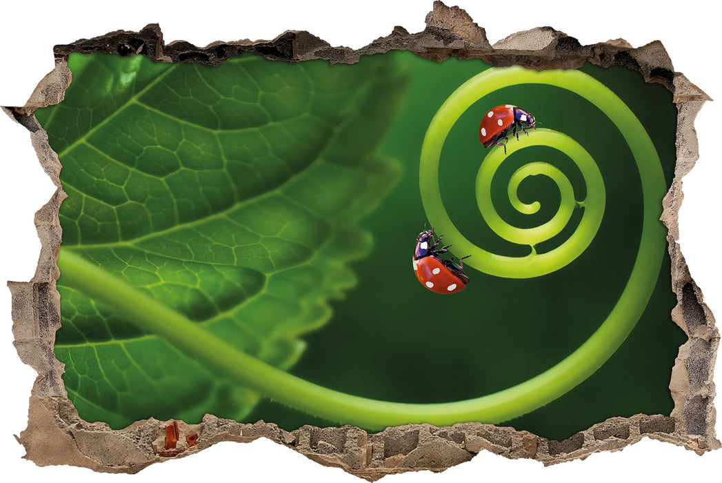 Pixxprint zwei Marienkäfer auf einem Stängel, 3D Wandtattoo