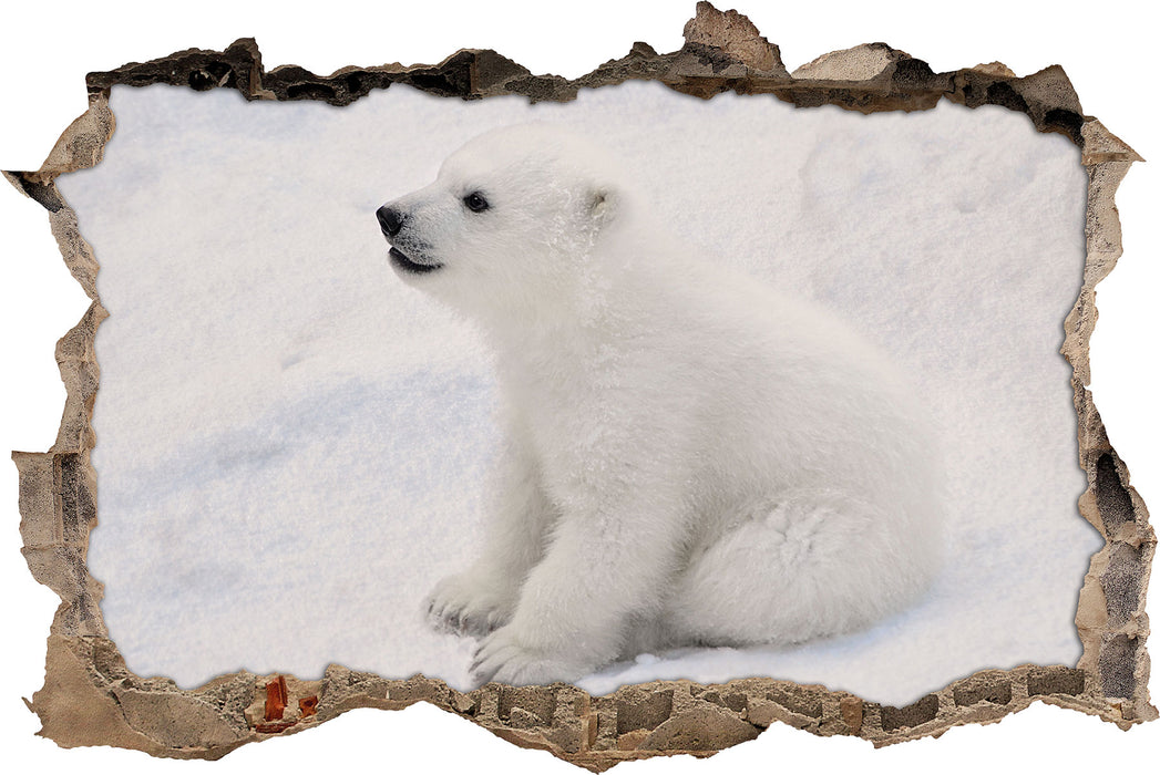 Pixxprint niedliches Eisbär Baby, 3D Wandtattoo
