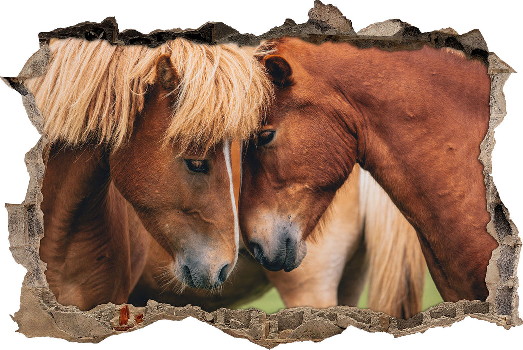 Pixxprint zwei schmusende Pferde, 3D Wandtattoo