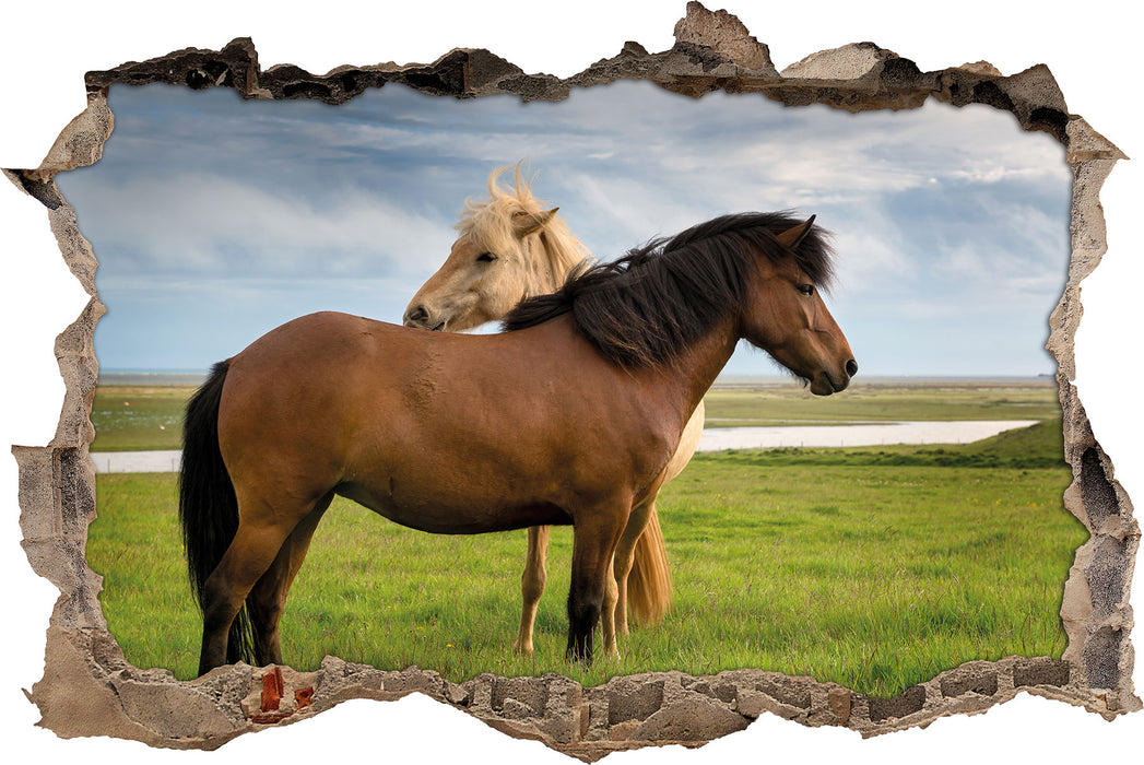 Pixxprint zwei Pferde auf der Wiese, 3D Wandtattoo