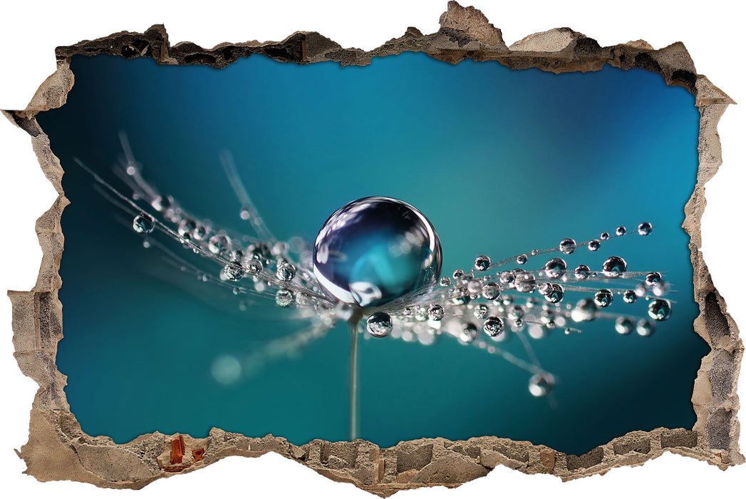 Pixxprint Wassertropfen an Pusteblume, 3D Wandtattoo