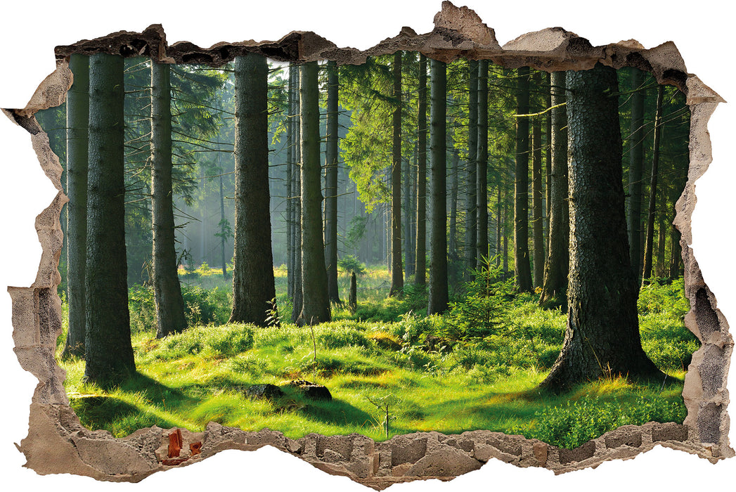 Pixxprint sonniger Tag im Wald, 3D Wandtattoo