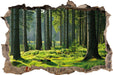 sonniger Tag im Wald 3D Wandtattoo Wanddurchbruch