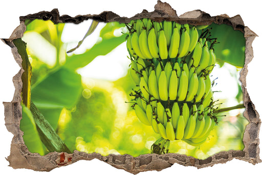 reifende Bananen am Baum  3D Wandtattoo Wanddurchbruch