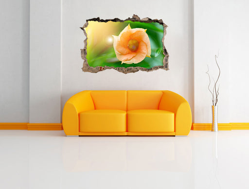 orange Blume im Sonnenlicht 3D Wandtattoo Wanddurchbruch Wand