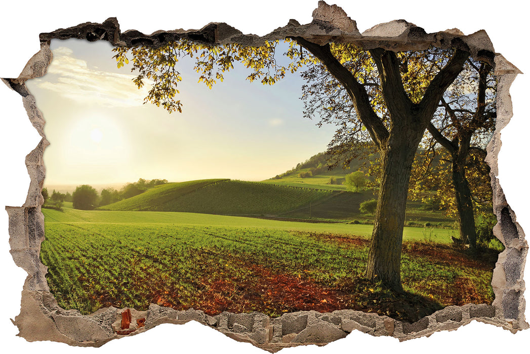 Landschaft im Herbst  3D Wandtattoo Wanddurchbruch