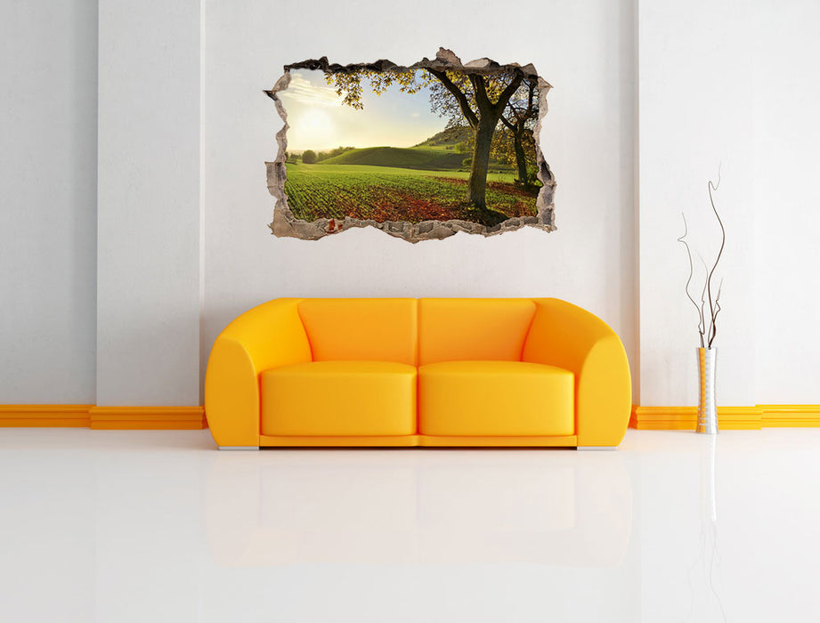 Landschaft im Herbst 3D Wandtattoo Wanddurchbruch Wand