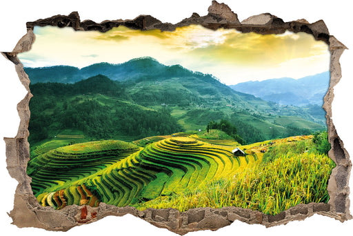 Reisfelder in Vietnam  3D Wandtattoo Wanddurchbruch