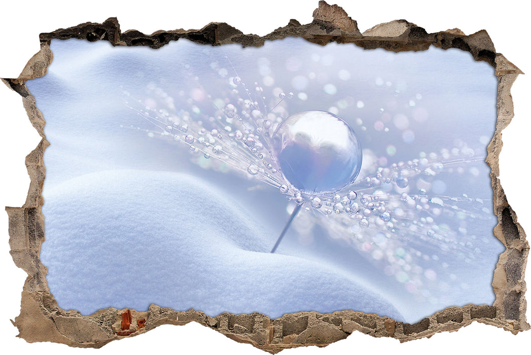 Pixxprint Tautropfen auf Pusteblume, 3D Wandtattoo