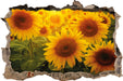 Sonnenblumen auf dem Feld 3D Wandtattoo Wanddurchbruch
