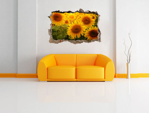 Sonnenblumen auf dem Feld 3D Wandtattoo Wanddurchbruch Wand