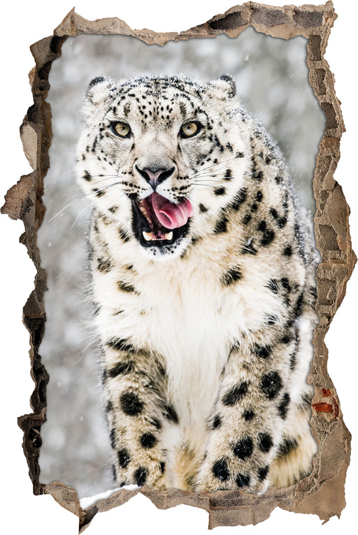 Leopard im Schnee  3D Wandtattoo Wanddurchbruch