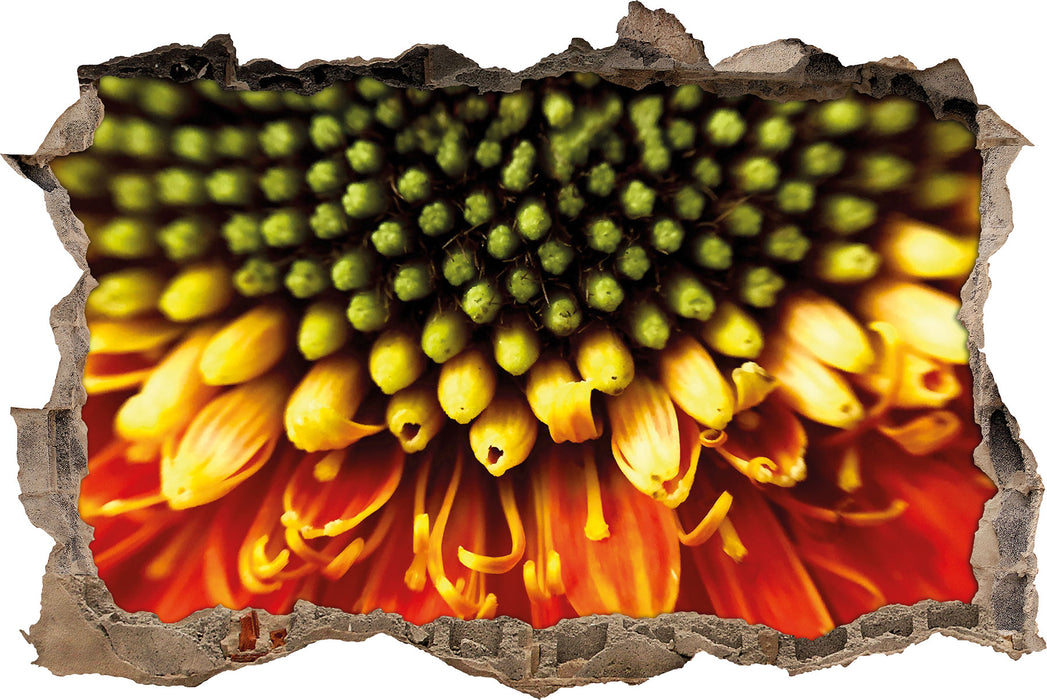 Pixxprint Nahaufnahme einer Gerbera, 3D Wandtattoo