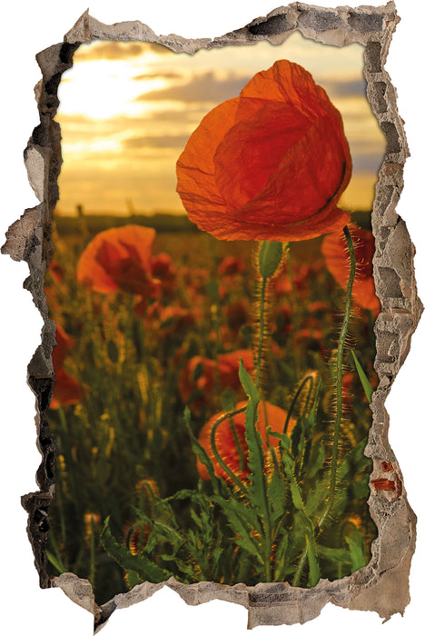 Pixxprint Mohnfeld, 3D Wandtattoo