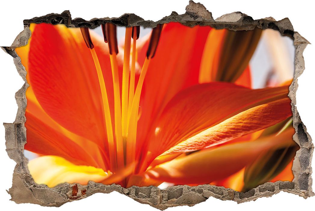 Pixxprint orange Lilie in Nahaufnahme, 3D Wandtattoo