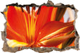 orange Lilie in Nahaufnahme  3D Wandtattoo Wanddurchbruch