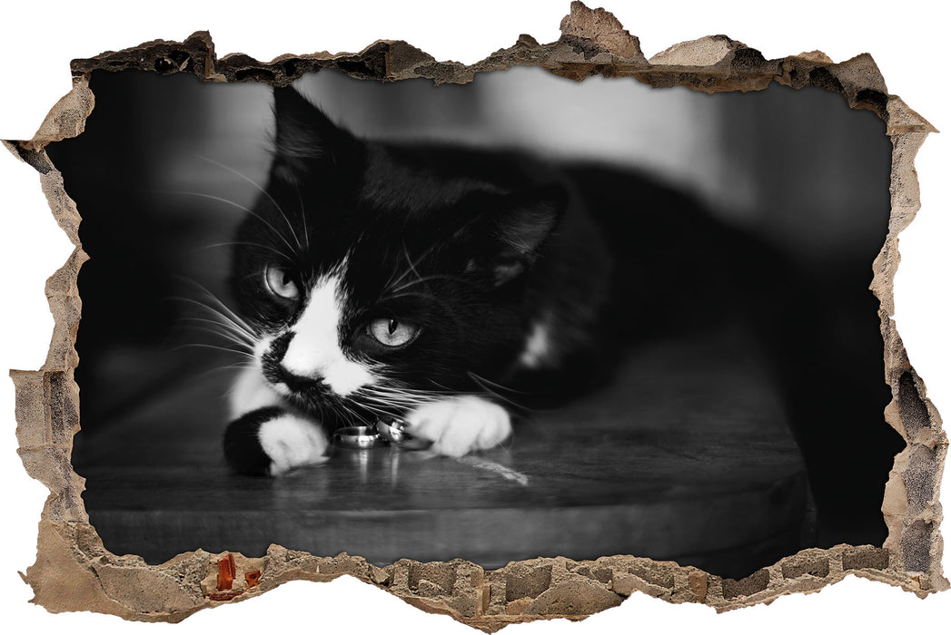 Pixxprint Katze spielt mit Ehering, 3D Wandtattoo