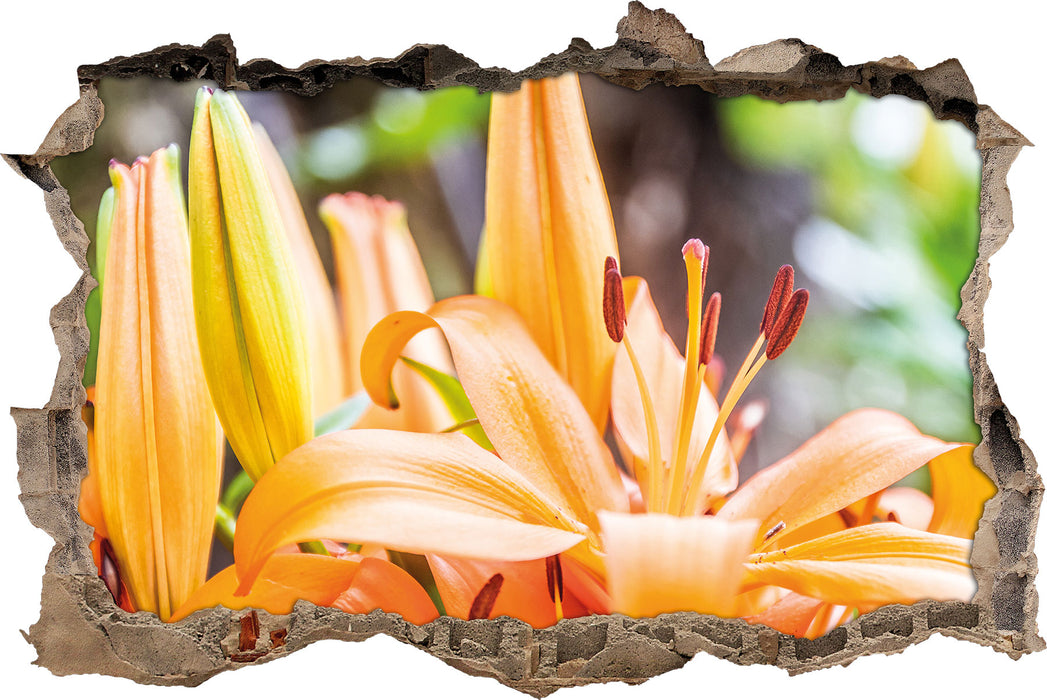 Pixxprint schöne orangene Lilien, 3D Wandtattoo