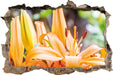 schöne orangene Lilien  3D Wandtattoo Wanddurchbruch