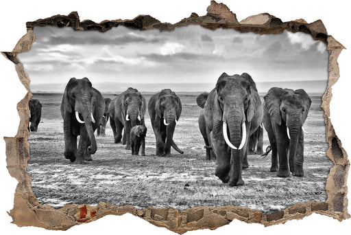 Elefanten Familie in der Savanne  3D Wandtattoo Wanddurchbruch