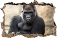 gelangweilter Gorilla  3D Wandtattoo Wanddurchbruch