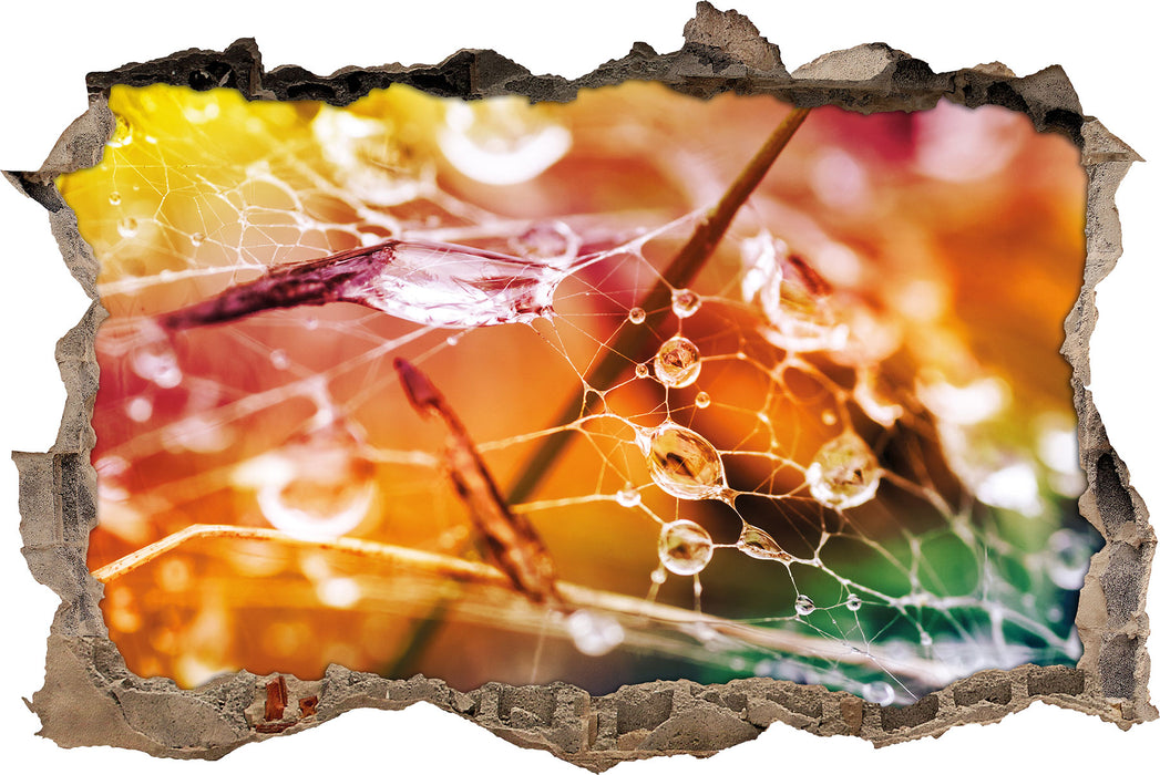 Pixxprint Spinnennetz mit Wassertropfen, 3D Wandtattoo