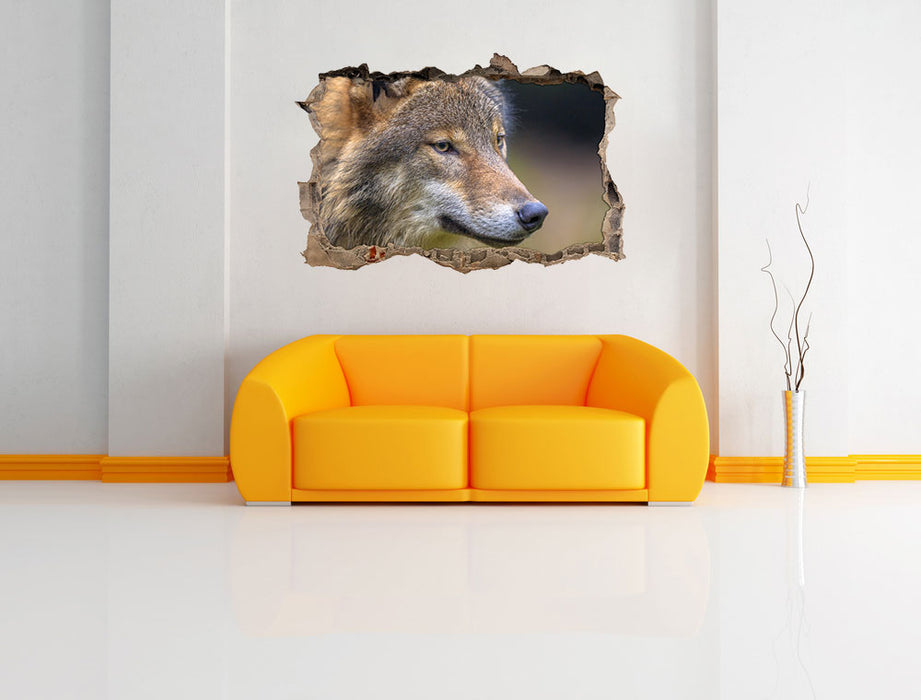 Porträt des europäischen Wolfes 3D Wandtattoo Wanddurchbruch Wand