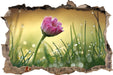rosa Gänseblümchen im Gras  3D Wandtattoo Wanddurchbruch