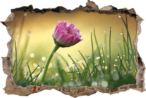rosa Gänseblümchen im Gras  3D Wandtattoo Wanddurchbruch