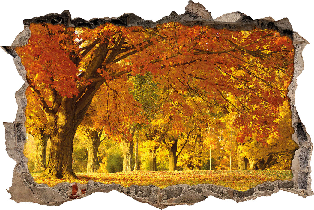 Pixxprint schöne Herbstlandschaft, 3D Wandtattoo