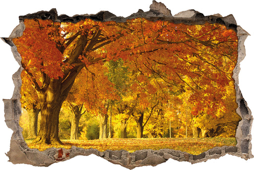 schöne Herbstlandschaft  3D Wandtattoo Wanddurchbruch