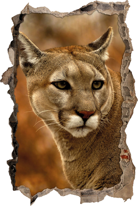 Pixxprint schöner Berglöwe, 3D Wandtattoo