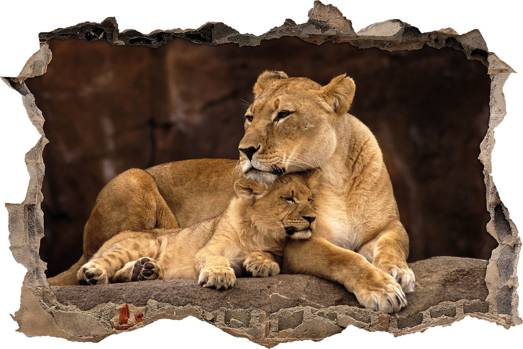 Löwe mit Löwenjungen  3D Wandtattoo Wanddurchbruch