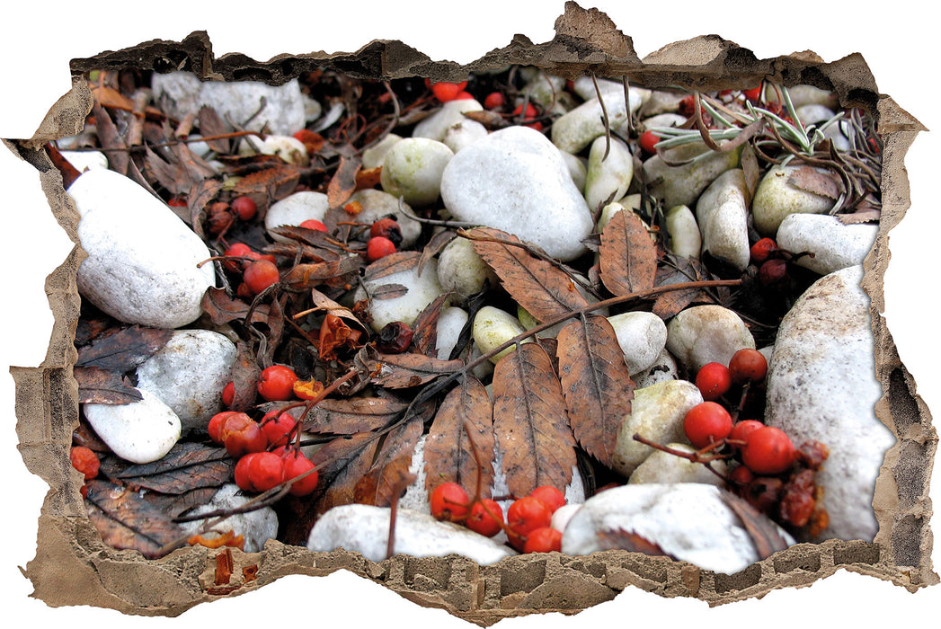 Pixxprint Herbst und Beeren, 3D Wandtattoo