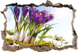 Kunst Frühling flower Hintergrund  3D Wandtattoo Wanddurchbruch