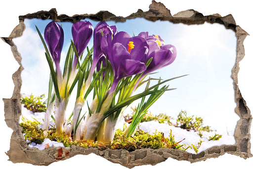 Kunst Frühling flower Hintergrund  3D Wandtattoo Wanddurchbruch