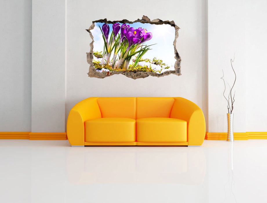 Kunst Frühling flower Hintergrund 3D Wandtattoo Wanddurchbruch Wand