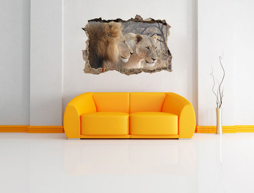 stolzes Löwenpaar 3D Wandtattoo Wanddurchbruch Wand